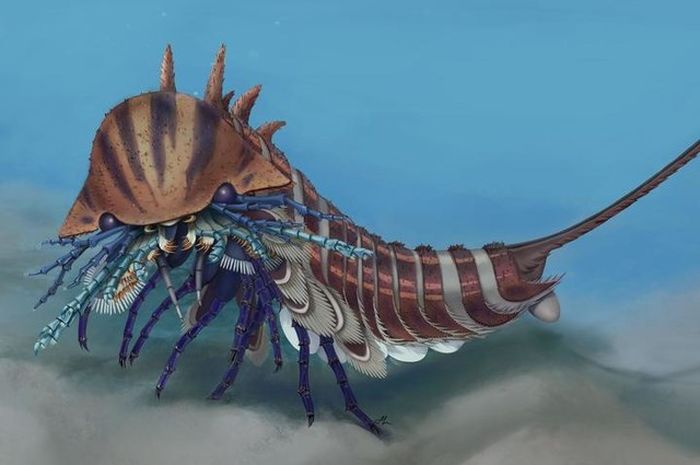 Predator Laut Mirip Kalajengking Ini Hidup 580 Juta Tahun Yang