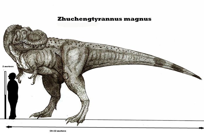 Zhungchengtyrannus, Anggota Baru Keluarga Tyrannosaurus Zhungchengtyrannus, Anggota Baru Keluarga Tyrannosaurus