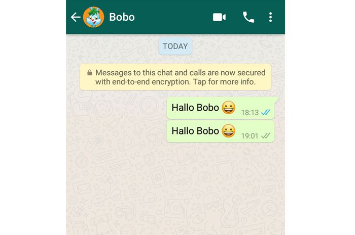 Memanfaatkan Fitur Read Receipts Di Whatsapp Semua Halaman Bobo