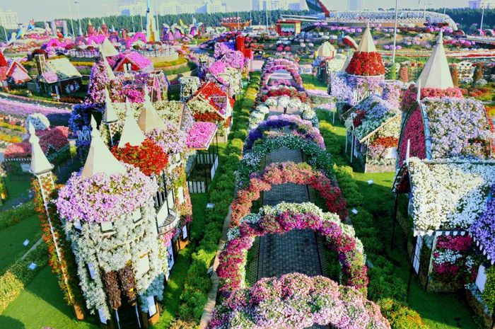 Dubai Miracle Garden Mucize Cicek Bahcesi