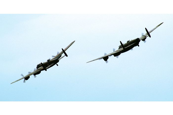 94 Koleksi Gambar Hewan Yang Terbang Gratis Terbaik