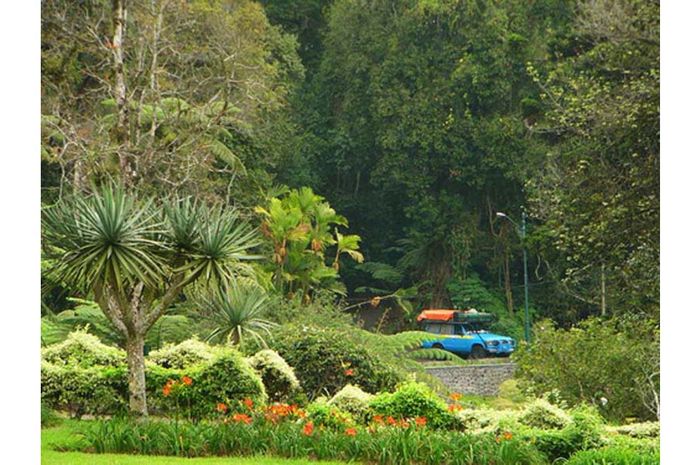 Kebun Raya Cibodas Semua Halaman Bobogridid