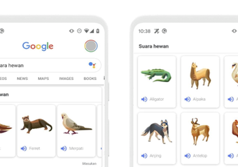 Ini 5 Trik Google untuk Belajar Flora dan Fauna dari Rumah Menggunakan Smartphone, Pernah Coba?