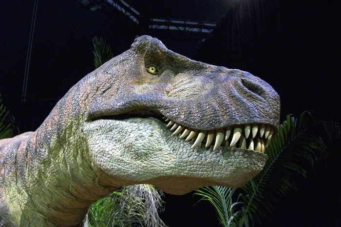T-rex adalah hewan yang tidak bisa menjulurkan lidah.