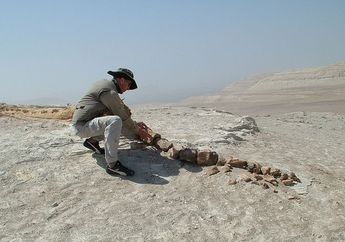 Ingin Jadi Ahli Paleontologi? Cari Tahu Pekerjaan Ahli Paleontologi, yuk!