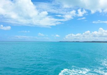 Ada yang Berada di Dekat Indonesia, Cari Tahu 5 Laut Terdalam di Dunia, yuk!