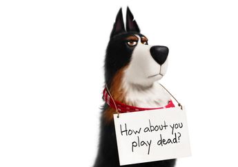 Ada Karakter Anjing Baru Lagi di The Secret Life of Pets 2, lo!