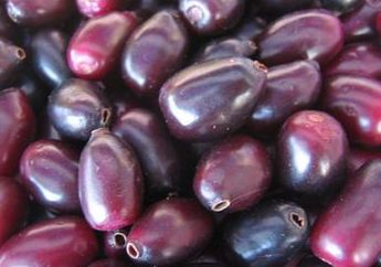 Buah Mirip Anggur Ini Ternyata Punya Banyak Manfaat untuk Tubuh