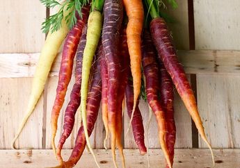 Apa Kamu Suka Warna Ungu? Ini Dia Makanan yang Berwarna Ungu!