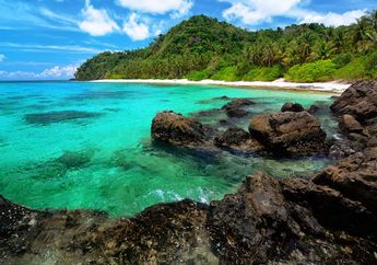 Ternyata Inilah Kekayaan Laut di Pulau Natuna yang Indah, Bukan Hanya jadi Habitat Biota Laut