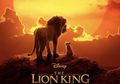 Live Action Lion King Rilis Teaser dan Poster Terbaru, Lihat, yuk!