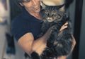 Maine Coon, Kucing Rumahan yang Bisa Tumbuh Sepanjang 1 Meter
