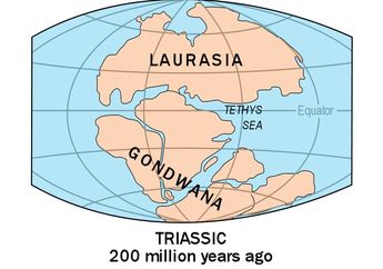 Sekarang Keadaan Alamnya Berbeda, Dulunya Antartika dan Afrika Ada di Satu Benua Gondwana