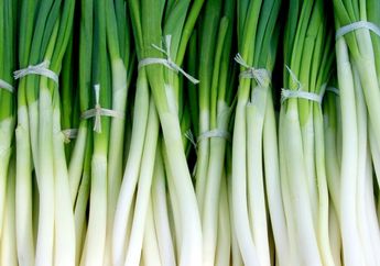 Ternyata, Daun ini Merupakan Makanan Favorit Kaisar Nero