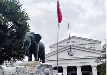 Museum Gajah Tahun Ini Berumur 242 Tahun, Yuk Jelajahi Secara Virtual!