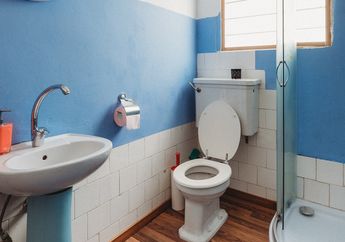BERITA POPULER: Bahaya Jika Kamar Mandi di Kamar Keliru Rancangannya Hingga Akibat Membuang Kotoran Kucing ke Toilet