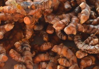 BERITA POPULER: Manfaat Minum AIr Rebusan Kunyit Hingga 5 Bahan Alami untuk Memutihkan Pakaian