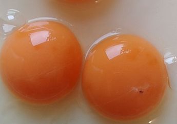 Telur yang Mengandung Bercak Darah Aman Dikonsumsi atau Tidak, ya?