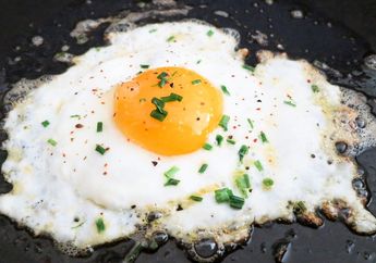 Bergizi Tinggi, Telur Tidak Boleh Asal Diolah Kalau Ingin Dapatkan Manfaatnya, Ketahui Cara Sehat Memasak Telur, yuk!