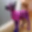 Seorang Wanita Tega Mewarnai Anjingnya Menjadi Pink dan Ungu, Alasannya Buat Orang Salut Sekaligus Cemas