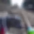 Video Aksi Penyelamatan Anjing Pitbull, Terjebak dan Terluka di Antara Rel Kereta