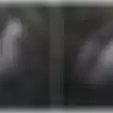 Derek Mobil Keluar Jurang, Video Ini Justru Perlihatkan Munculnya 'Tangan Hantu' dari Dalamnya, Netizen Heboh