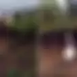 Bebek Baik Hati Bantu Anak Kecil yang Kesusahan, Video Ini Rekam Apa yang Dilakukan Hewan Itu