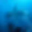 Kepala Nyaris Raib Ditelan Predator Laut, Video Mencekam Menunjukkan Detik-detik Seorang Penyelam Diserang oleh Seekor Hiu Macan