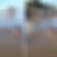 Santuy Abis, Viral Video Bocah-bocah Asik Berenang di Sungai Bareng Buaya