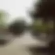 Unik! Seorang Pria Bungkus Pakai Plastik Mobil yang Selalu Parkir di Jalan Masuk ke Rumahnya: Menghalangi Kita Semua