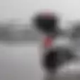 Wanita Perlu Tahu Motor Matic, Apa Itu Water Spot yang Bikin Bodi Motor Terlihat Burik