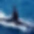 Alami Musibah dalam Latihan Tembak Torpedo, Begini Kondisi Terakhir KRI Nanggala-402 Hingga Seluruh Awaknya Dinyatakan Gugur, KSAL: Warga Hiu Kencana Minta Kapal Diangkat
