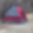 Dinyatakan Hilang selama 6 Bulan, Wanita Ini Ditemukan tengah Bertahan Hidup di Sebuah Tenda dengan Makan Rumput dan Lumut