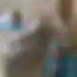 Tangis Nirina Zubir Tak Terbendung, Sosok ART yang Diselamatkan Mendiang Ibunya Justru Gelapkan Aset 17 Miliar: Kamu Masih Berani Menatap Saya!