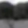 Viral Video Gunung di Kupang Disebut Bergeser di Tengah Jalan, Ini Penjelasan PVMBG 