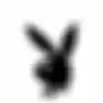 Alasan Kelinci Jadi Simbol Playboy