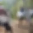 Momen Suku Baduy Dalam Murka, Bakar Motor Warga yang Kepergok Lakukan Ini, Videonya Heboh