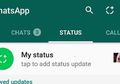 Cara Upload Video dari YouTube ke Status WhatsApp, Tampil Beda!