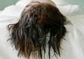 Inilah Penyakit yang Timbul Akibat Tidur dengan Rambut Basah