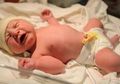 Tega! Seorang Ibu Membuang Bayi di Tempat Sampah Toilet, Ini Alasannya