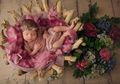 Fotografer Ini Bocorkan Rahasia Pemotretan Bayi Baru Lahir yang Bikin Gemas