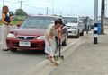Tanpa Dibayar. Nenek Menyapu Jalanan 1 km Setiap Hari, Alasannya Bikin Syok!