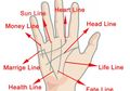 Orang-orang Dengan 7 Gambaran Garis Tangan Berikut, Disebut Berpotensi Jadi Kaya di Masa Depan