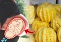 Moms Sering Ngidam 2 Makanan Ini, Apakah Aman Dikonsumsi Saat Hamil?