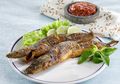 Wow! Lele Goreng Daun Jeruk Ini Pasti Bikin Lapar
