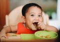 Terapkan Baby Lead Weaning Seperti Andien Aisyah Aman, Asal..
