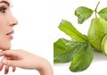 Wajah Cerah, Bebas Komedo dan Kerutan dengan Masker Daun Jambu Biji