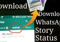 Cara Mudah Menyimpan Status WhatsApp Gebetan Langsung Ke Gallery