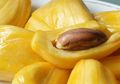 Penting, 5 Kategori Orang ini Tidak Boleh Makan Nangka, Bisa Bahaya!