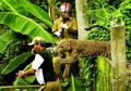 Pria di India Tewas Diterkam Macan Tutul Saat Sedang Buang Hajat